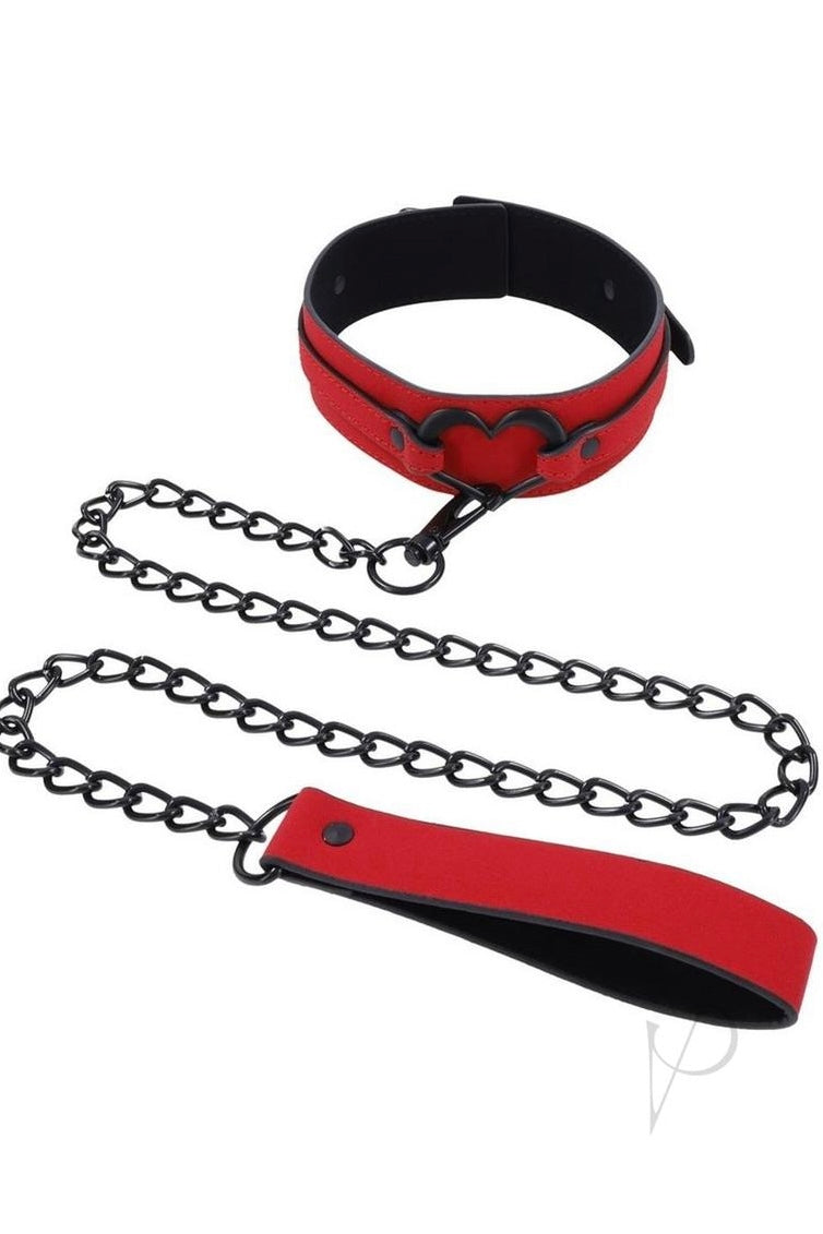 Amor Collar and Leash